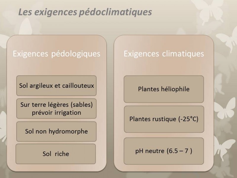 sejour-drome-8-site-internet