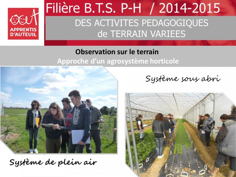 bilan-filiere-bts-production-horticole-2014-2015-10