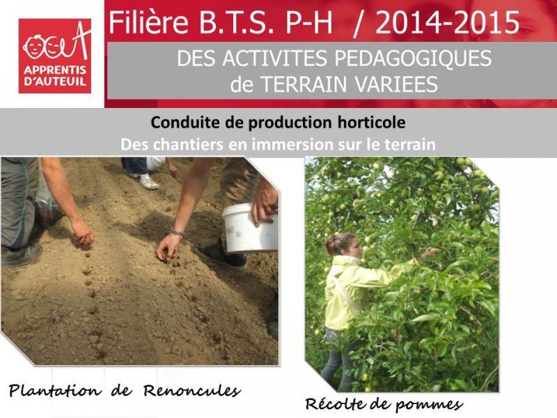 bilan-filiere-bts-production-horticole-2014-2015-2