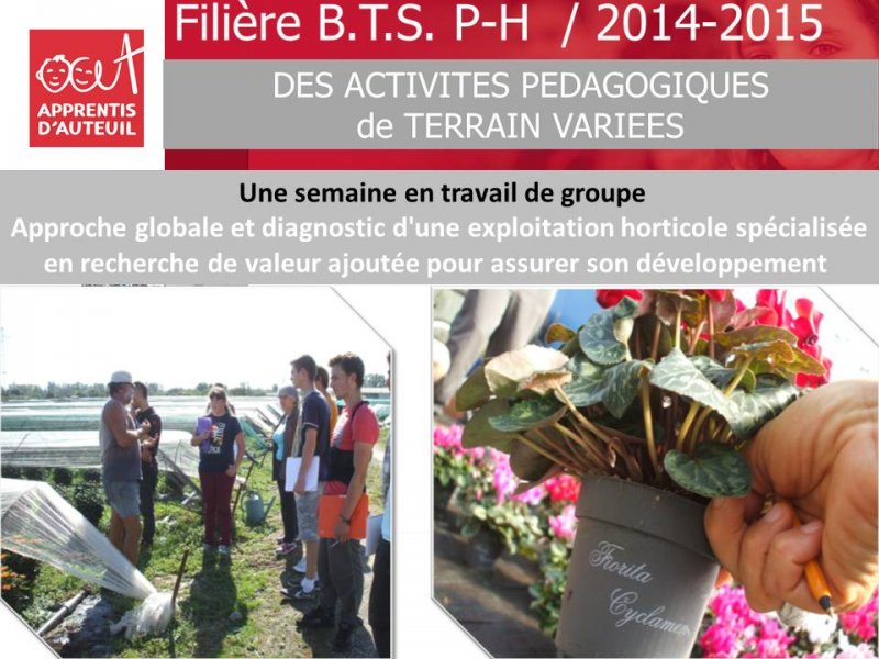 bilan-filiere-bts-production-horticole-2014-2015-4