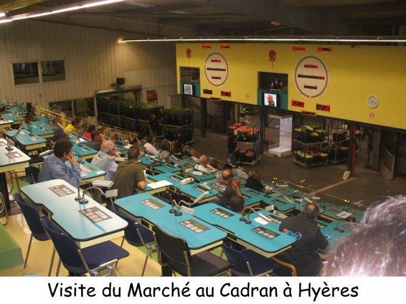 diapo-11-a-la-rencontre-des-professionnels