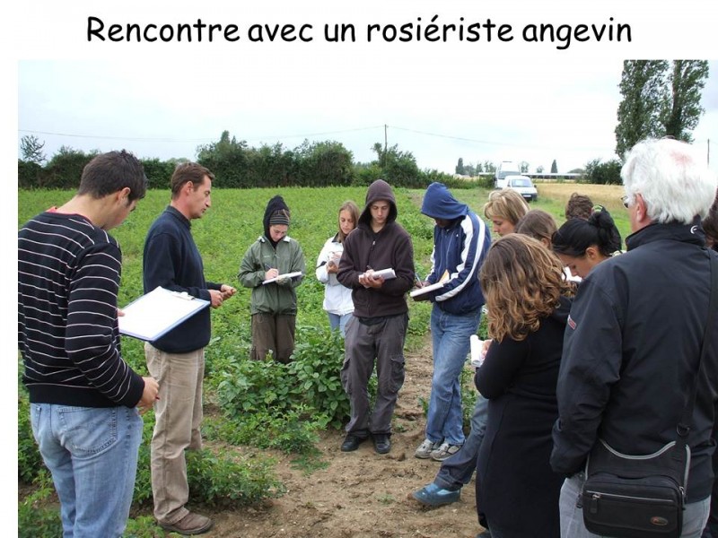 diapo-6-a-la-rencontre-des-professionnels