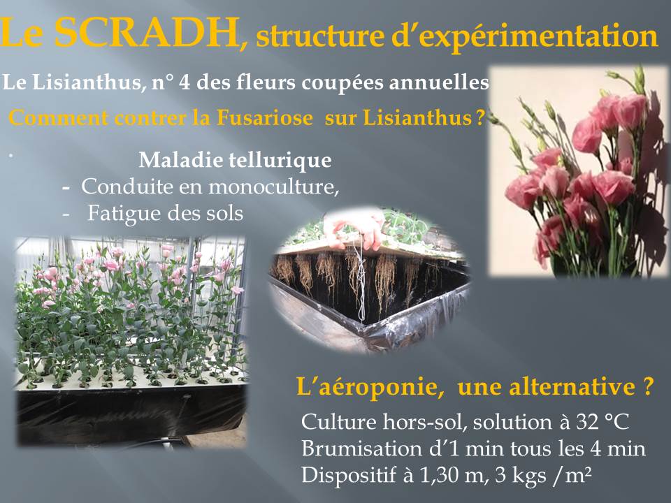 10-SEJOUR PACA NOV 19 -retour en quelques images