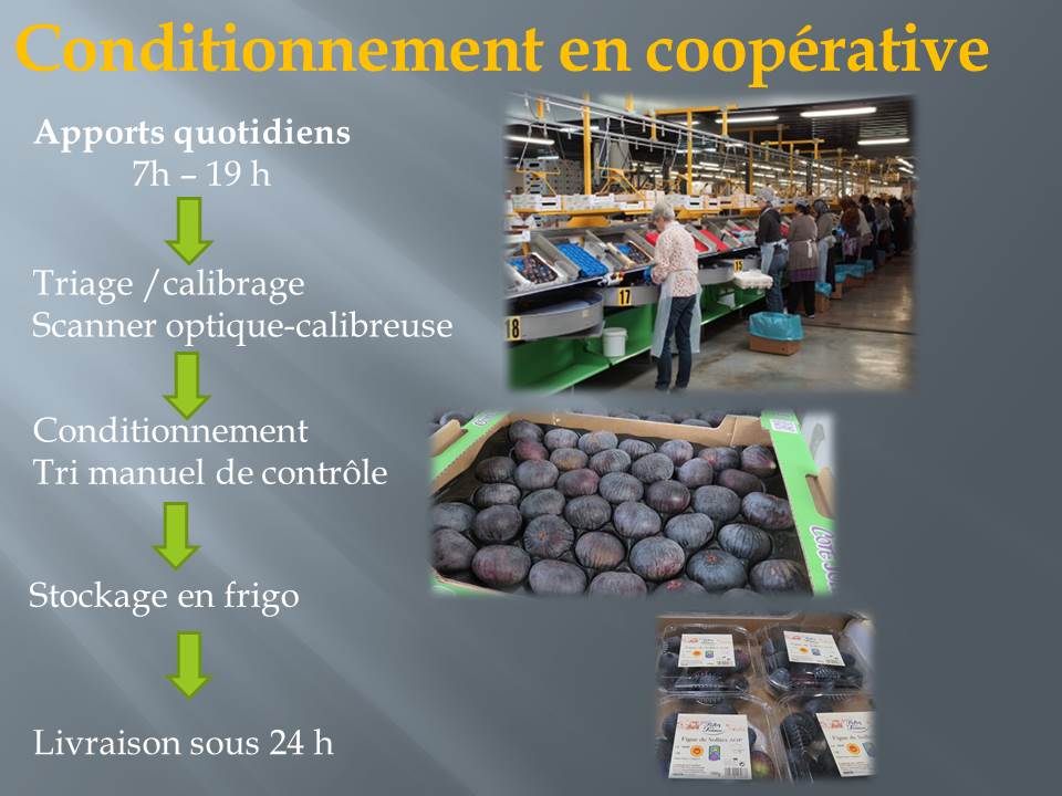 6-SEJOUR PACA NOV 19 -retour en quelques images