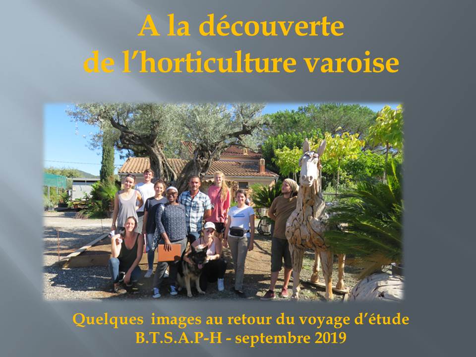 voyage d'étude bts production horticole-hyere (11)