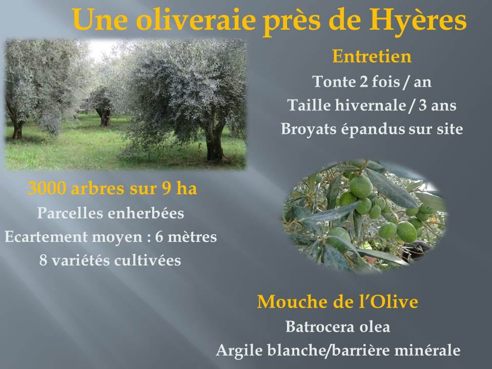 voyage d'étude bts production horticole-hyere (12)