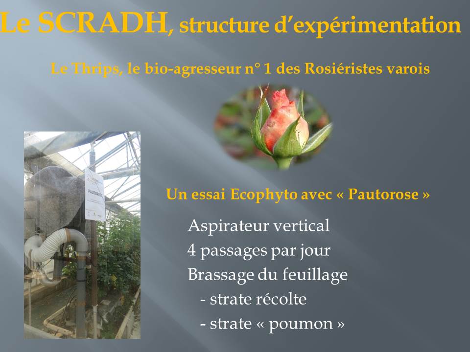 voyage d'étude bts production horticole-hyere (9)