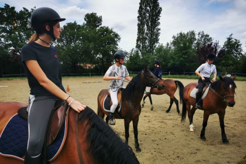option equitation