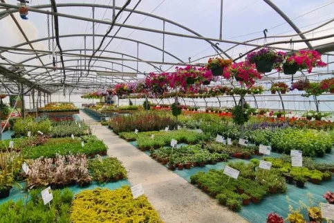 serre Campus Saint-François la Cadène