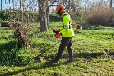 CAP Jardinier paysagiste