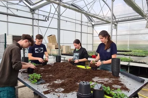 bac pro productions horticoles