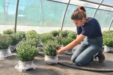 CAP Métiers de l'Agriculture 