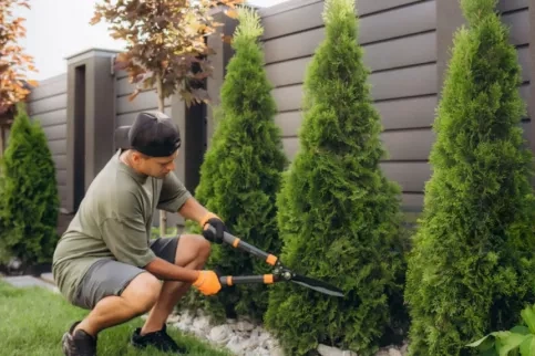 bac pro apprentissage