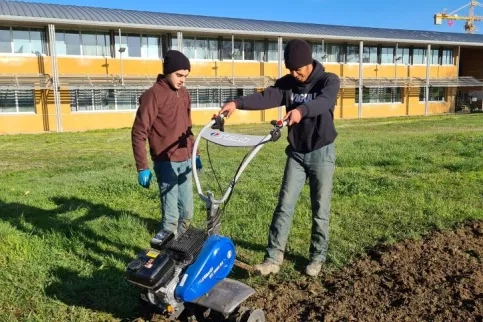 CAP Travaux paysagers 