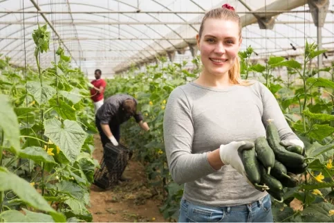 bac pro productions horticoles- apprentissage