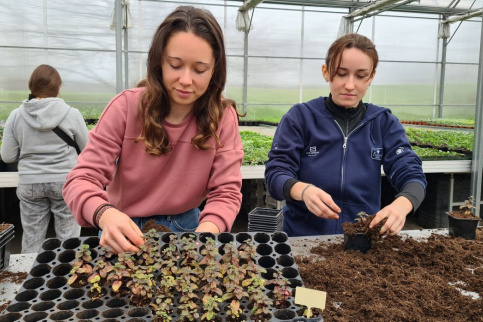 BTS Métiers du Végétal