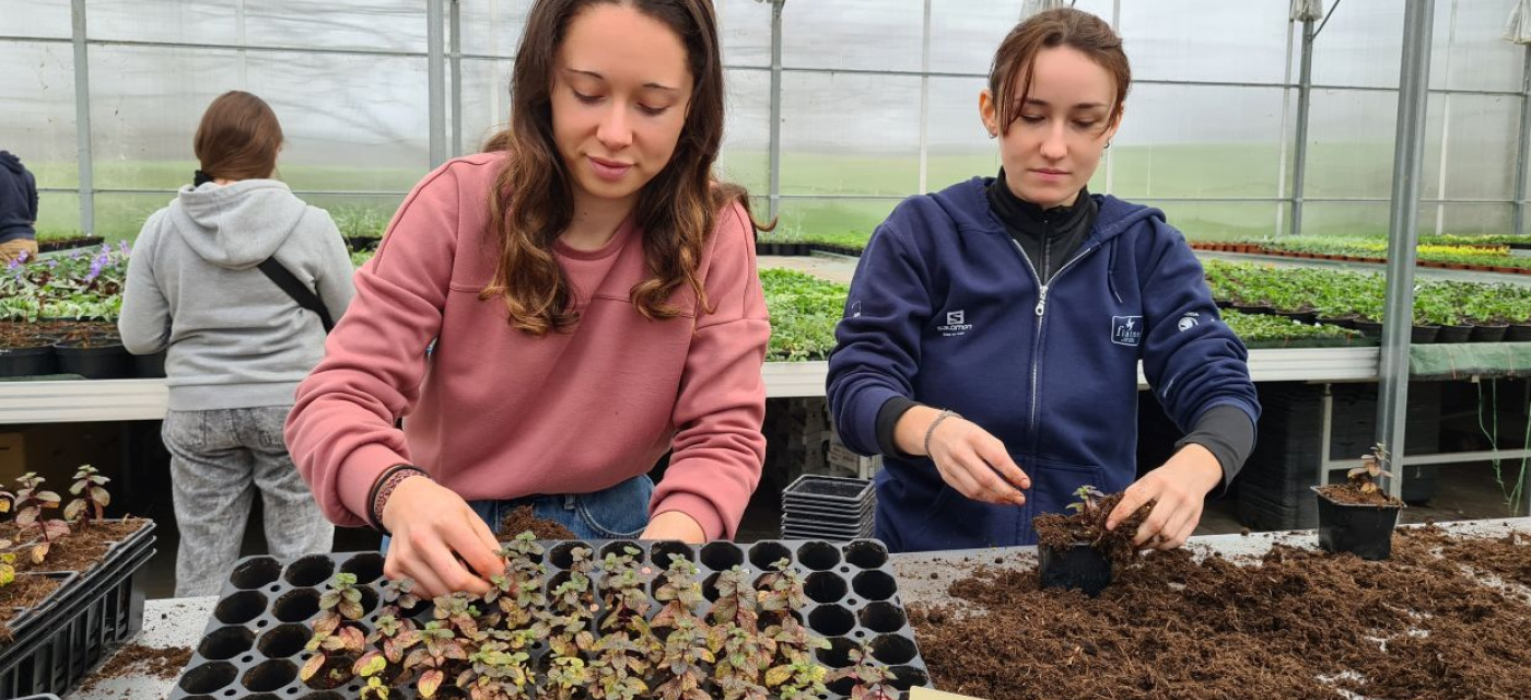 BTS Métiers du Végétal