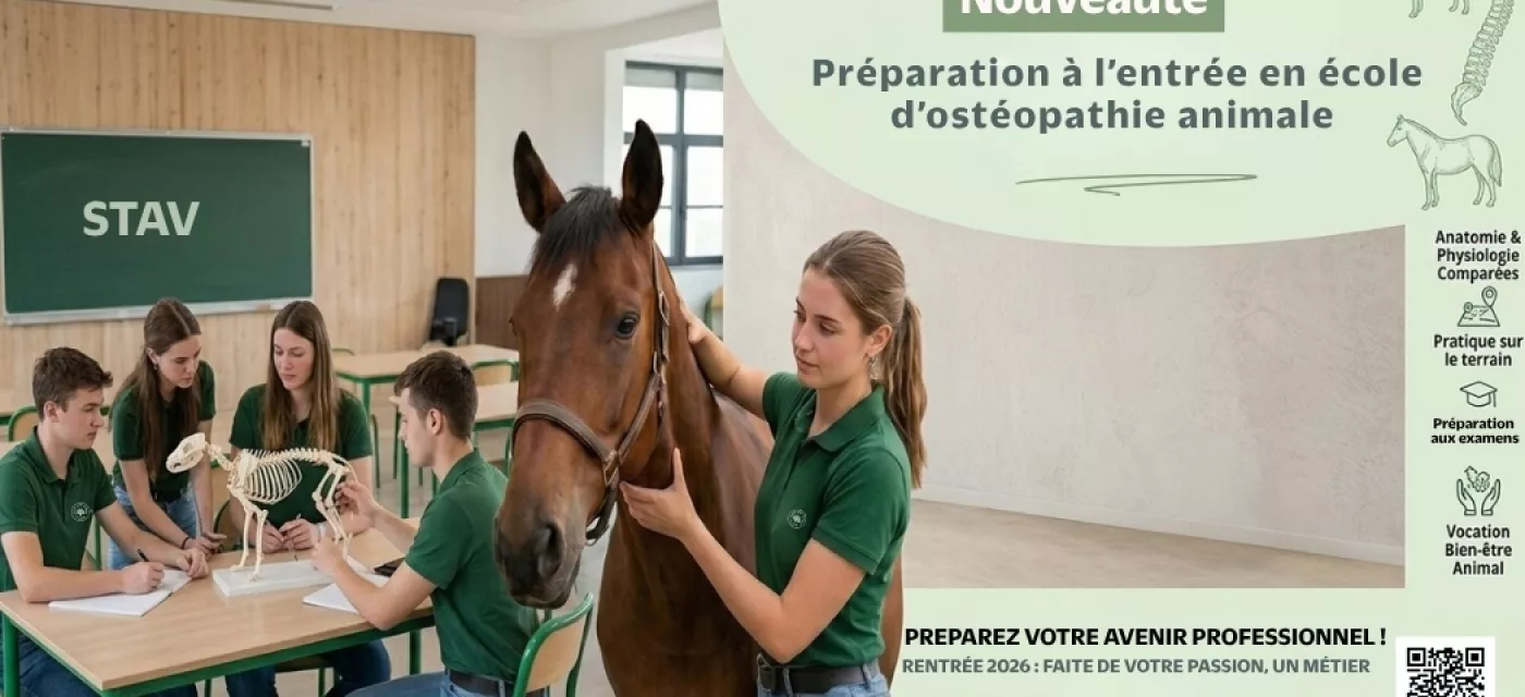 Préparation à l'entrée en école ostéopathie animale