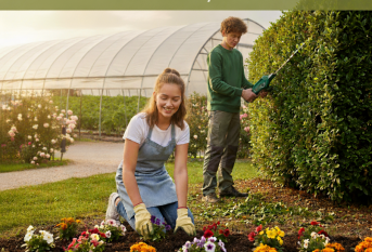 Portes ouvertes 2026