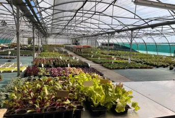 serres Campus saint-françois