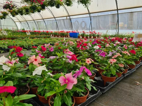 serres Campus Saint-François