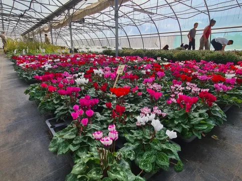 serres Campus Saint-François