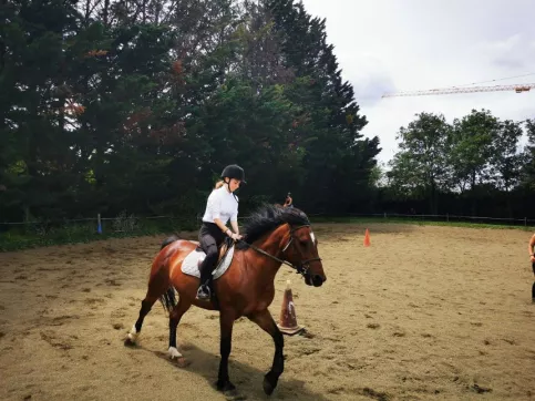 EQUITATION