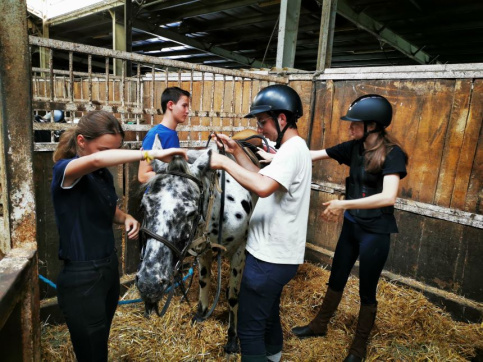 EQUITATION