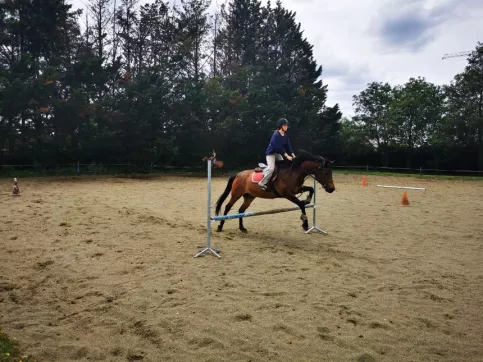 EQUITATION