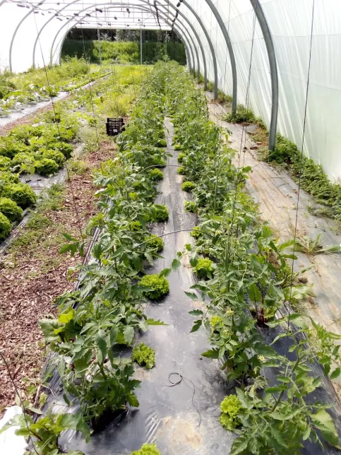 serre Campus Saint-Francois