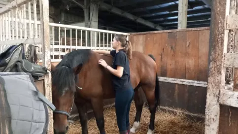 activité_equtation_campus saint-Francois