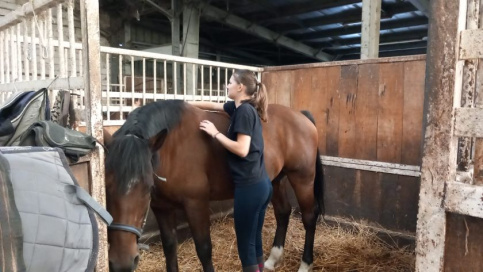 activité_equtation_campus saint-Francois