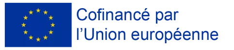 Emblème FSE