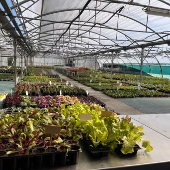 serres Campus saint-françois