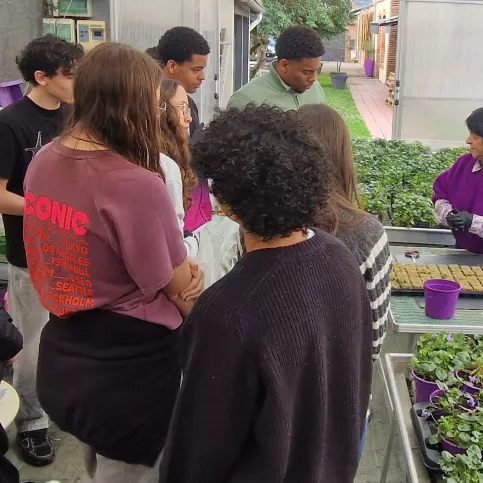 Sortie maison de la Violette