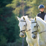 Equitation_Campus Saint-François 