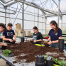 bac pro productions horticoles